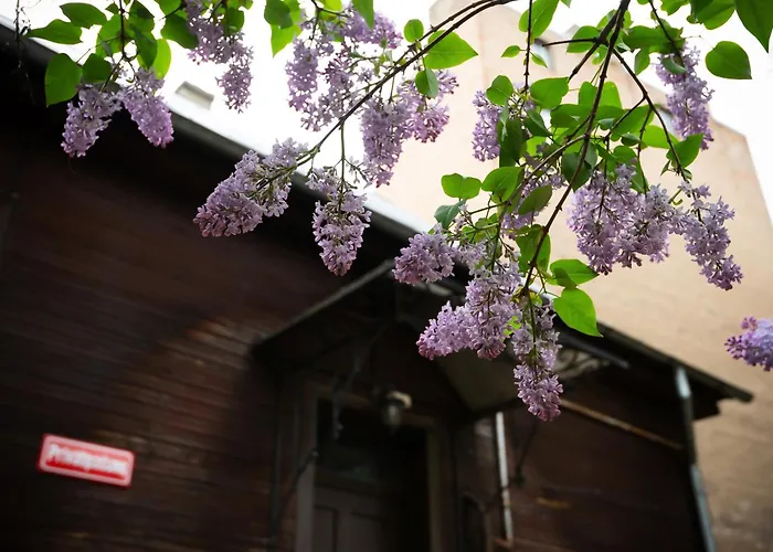 In The Heart Of Σπίτι διακοπών